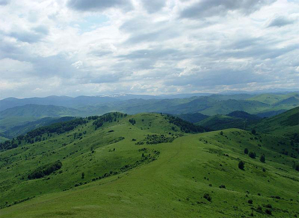 Горный ландшафт Чарышского района Алтайского края